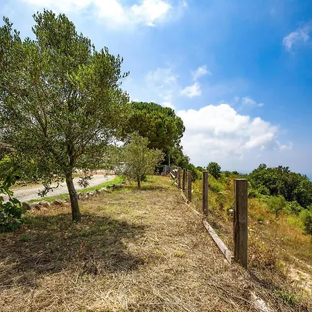 Awesome In Zambrone With House Sea View Ferienhaus